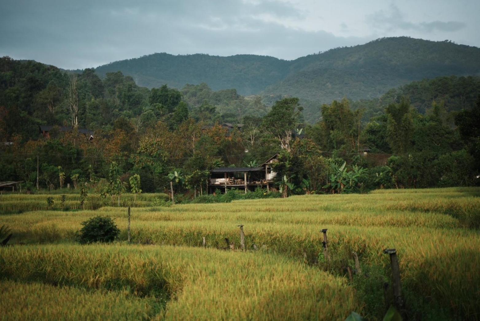 Auberge de jeunesse Por Joi ,Por Dee House à Chiang Mai Extérieur photo